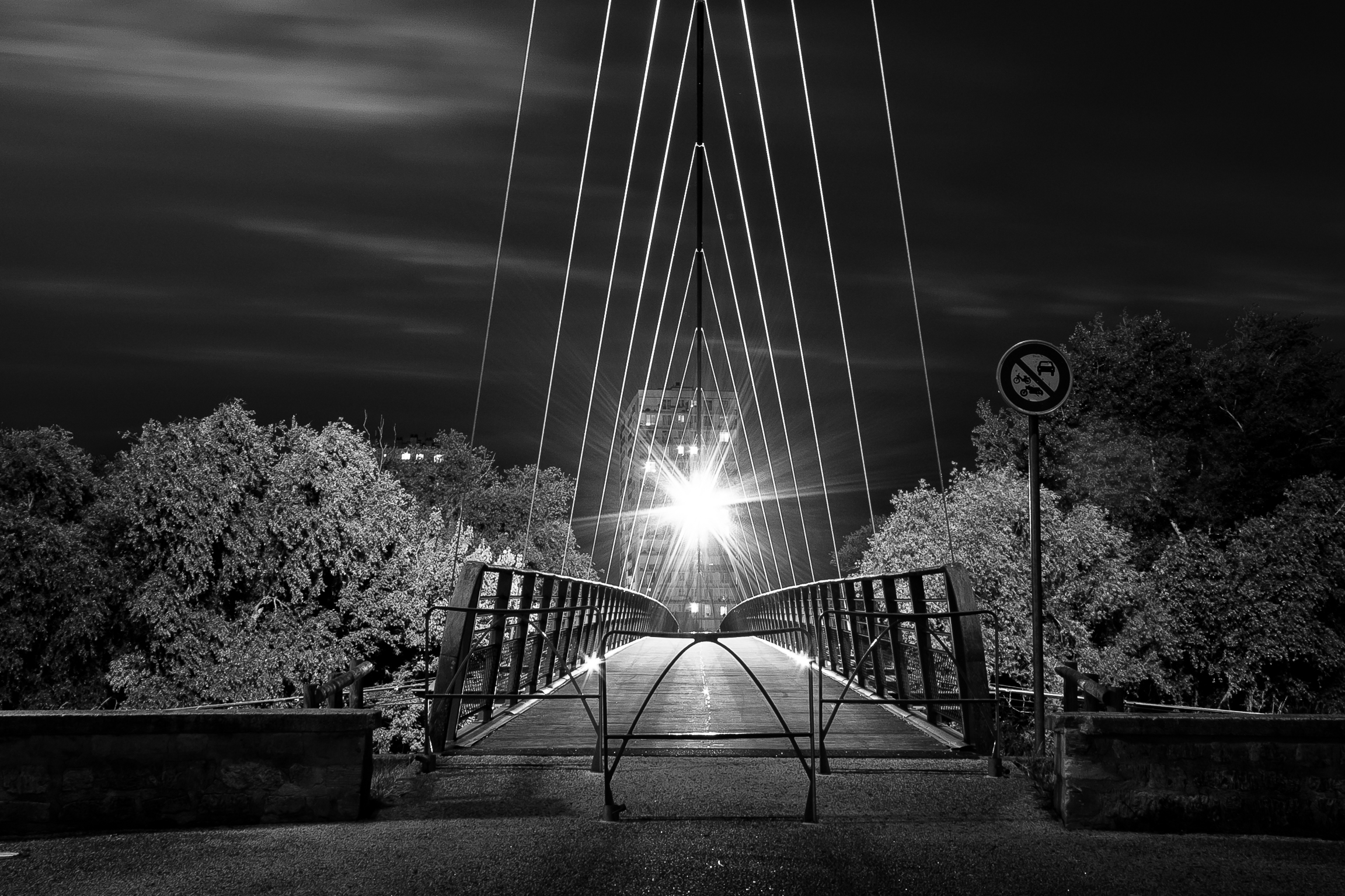 passerelle des 2 Lions a Tours