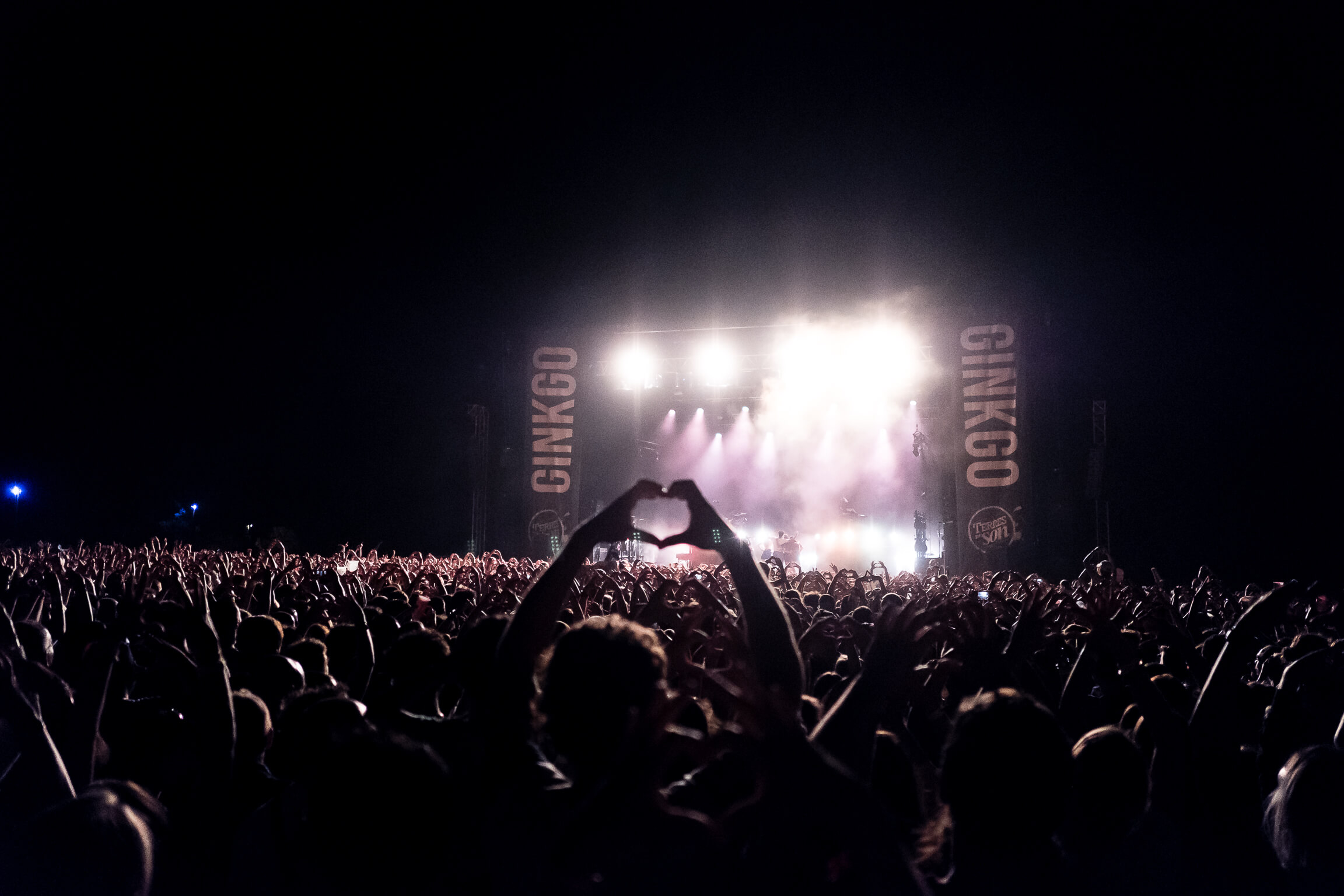 Ambiance au festival Terres du Son pendant le concert d'Angele